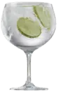 Gin Tonic
