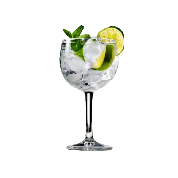 Gin Tonic
